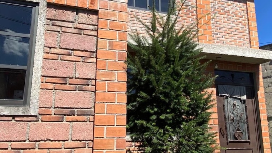 GBR SANTO TOMÁS DE AJUSCO - 3