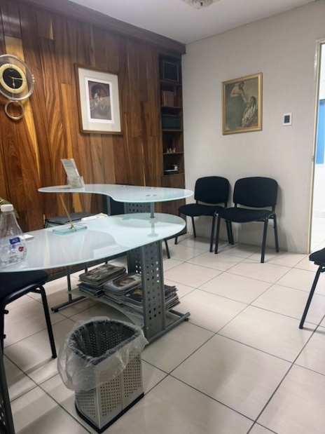 Holbein-cd-deportes-02